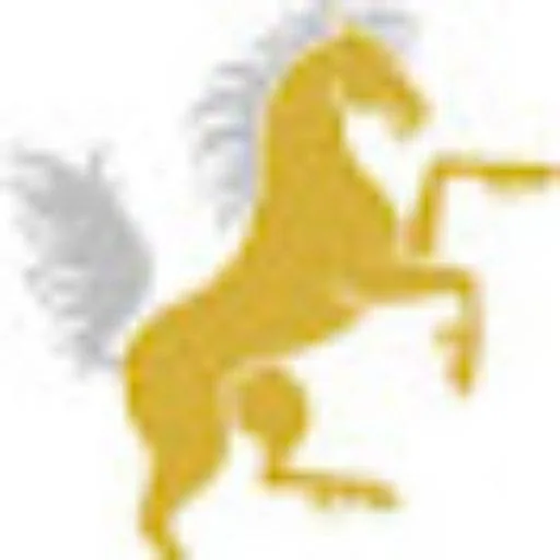 Asset & Elder Law Solutions logo